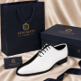 Pantofi barbati de ceremonie din piele naturala doua culori MOD1AN